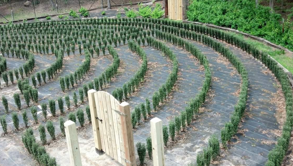 'S-Town' Podcast: Here's John B. McLemore's Beautiful Maze (Photos)