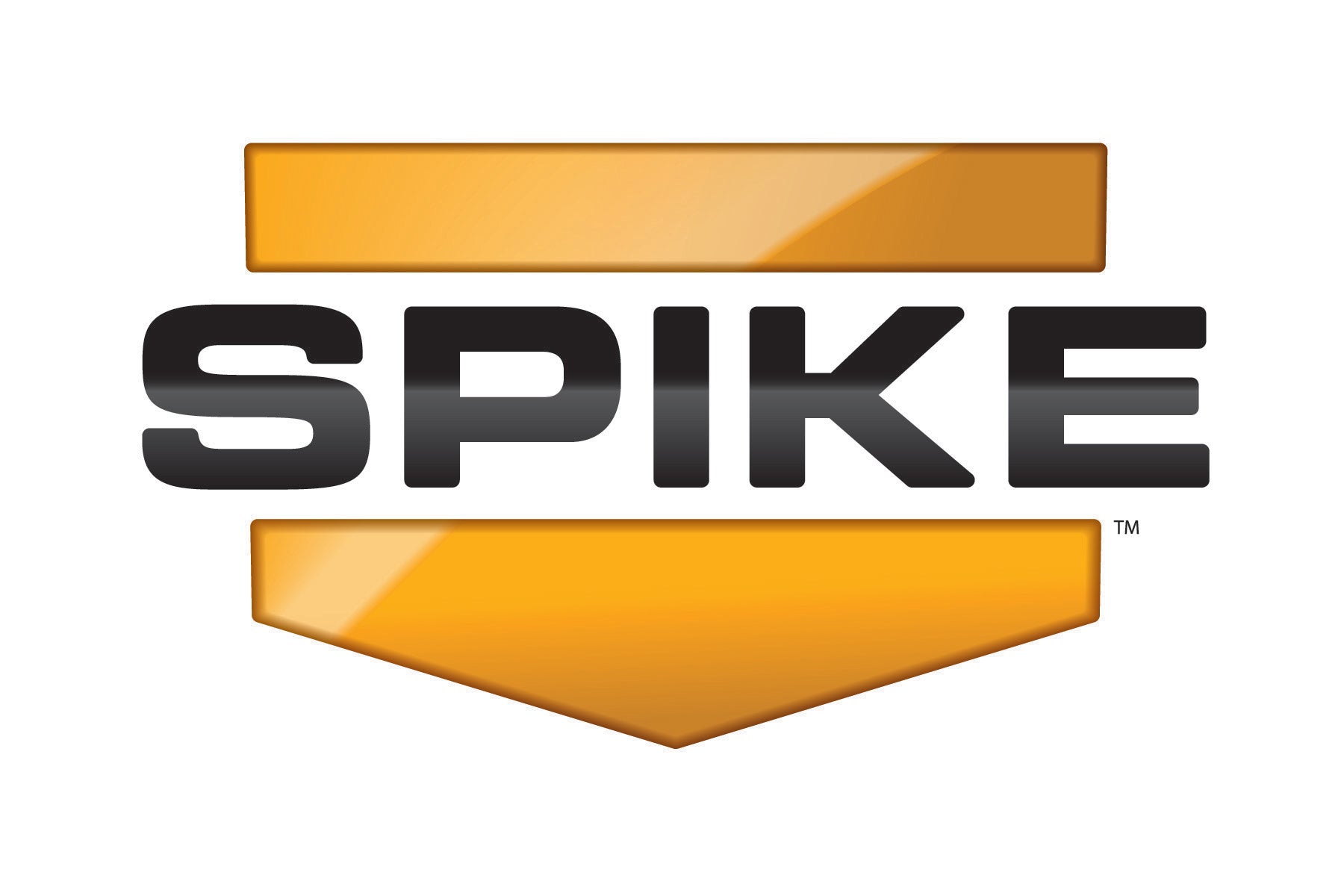 From Pawn Shops to Evictions, Spike Pilots Make Sad Things Fun - TheWrap