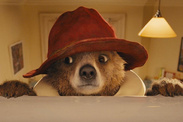 a bear called paddington