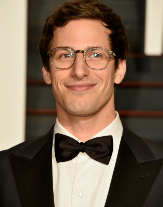 Andy Samberg curly hair