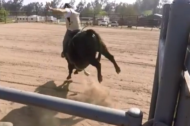 Watch The Longest Ride Star Scott Eastwood Mount A Bull For The First