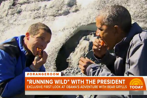 President Obama Eats A Dead Fish On First Look At Running Wild With Bear Grylls Video