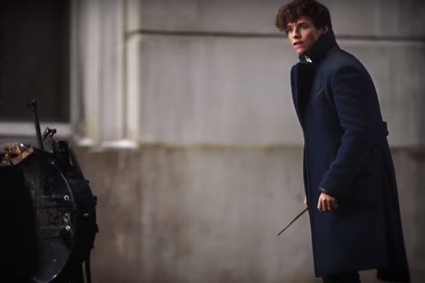 newt scamander fantastic beasts and where to find them newt