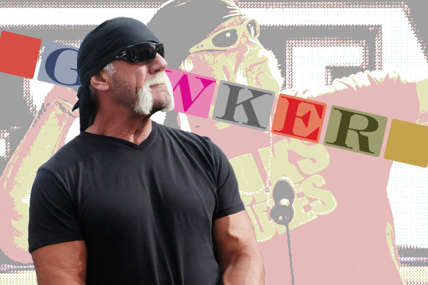 Why the Hulk Hogan v. Sex-Tape Matters