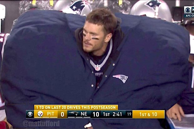 tom brady big bird