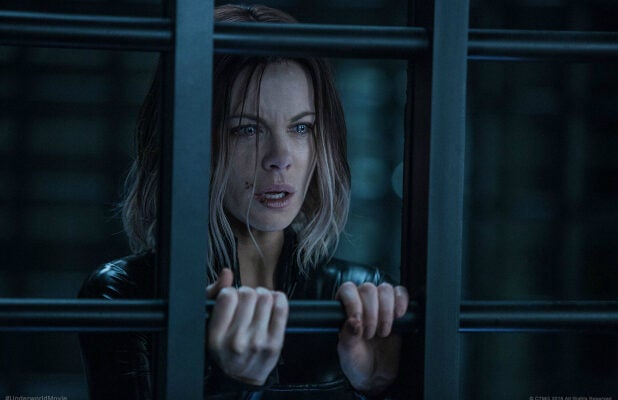 what is underworld blood wars 2016 about