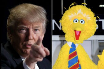 Trump Budget Proposes Killing All Funding For PBS, NPR And National ...