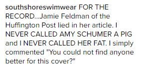 Amy Schumer Porn Photoshop - Swimwear Designer Comes Under Fire for Fatshaming Amy Schumer on Instagram