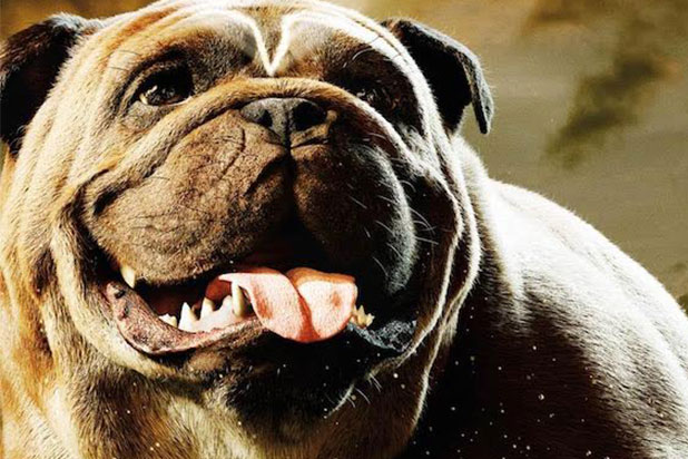 618px x 412px - Inhumans' Lockjaw Poster Celebrates National Dog Day (Photo)