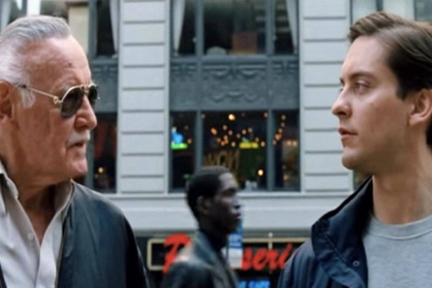 All 37 Stan Lee Marvel Movie Cameos Ranked (Photos)