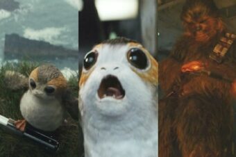 Every Porg In 'Star Wars: The Last Jedi' Ranked, From Dorky To Adorable ...