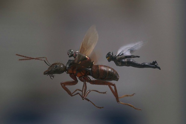 618px x 412px - Where the Hell Was Ant-Man in 'Avengers: Infinity War'?
