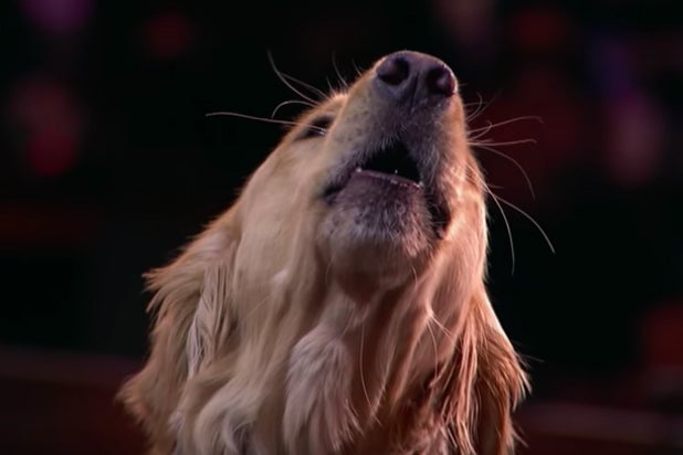 gund singing dog