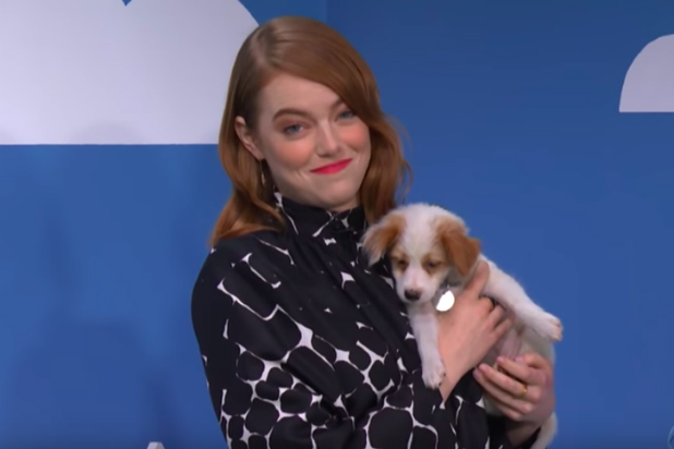 Emma Stone Wants You To Adopt These Hurricane Florence