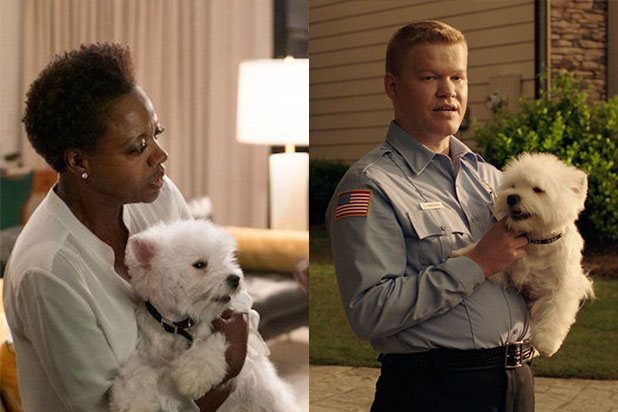 618px x 412px - Meet Olivia, the Cute Dog From 'Widows' and 'Game Night'