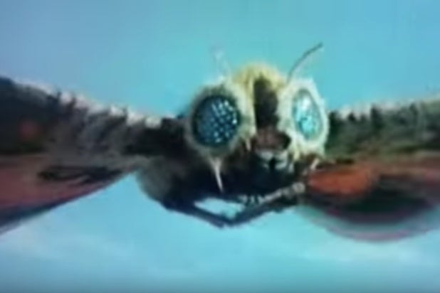 mothra film series