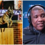 America's Top Dog' Host Curt Menefee on the K9 & Civilian Dogs