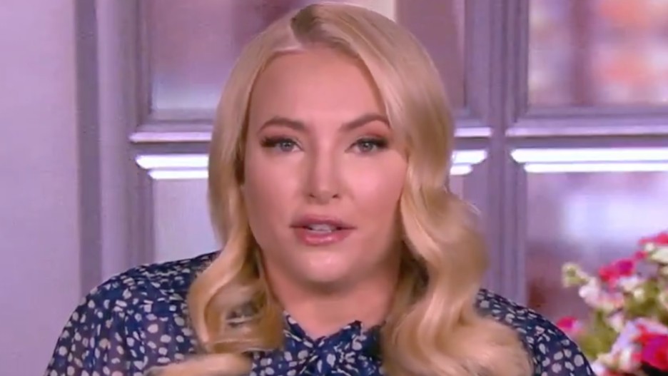 'The View': Meghan McCain Begs Media to Stop Bashing Trump Allies and ...