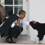 barack obama dog Bo