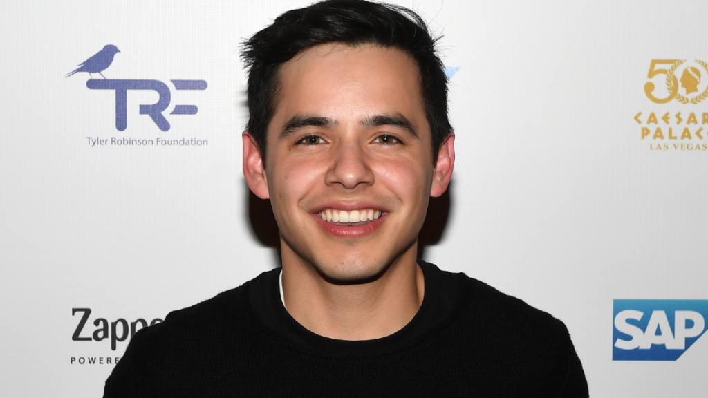 'American Idol' Alum David Archuleta Comes Out as Bisexual, Urges