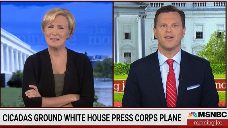  Morning Joe Host Bugs Out Over Cicadas Grounding White House Press 