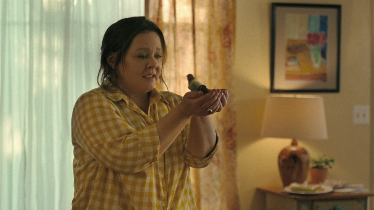 the-starling-film-review-melissa-mccarthy-and-chris-o-dowd-have-wings-clipped-by-conventional