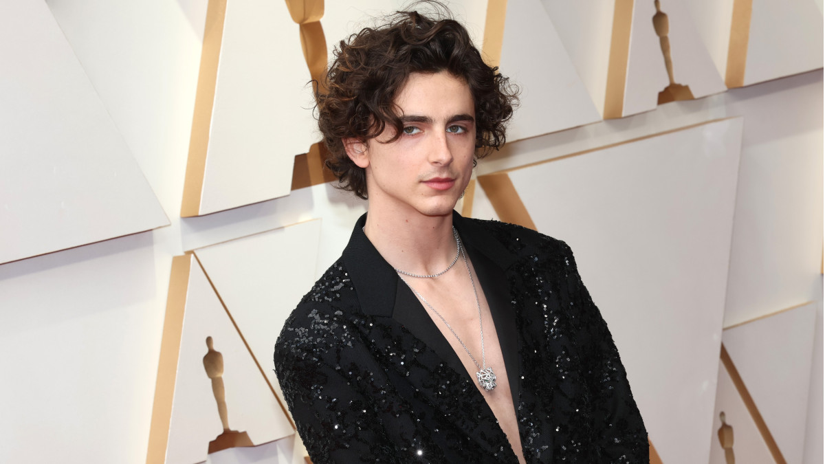 Timothée Chalamet Goes Nearly Shirtless at Oscars