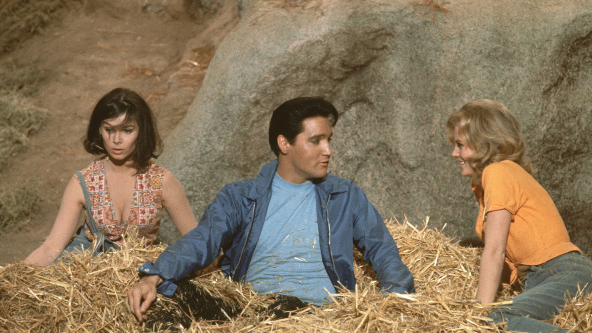 All 33 Elvis Movies Ranked From Worst To Best 1255