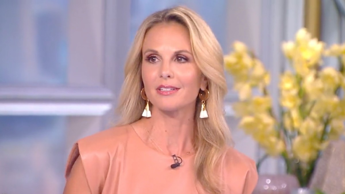 Elisabeth Hasselbeck Fucking - The View Fans Shame 'Irresponsible' Return of Elisabeth Hasselbeck