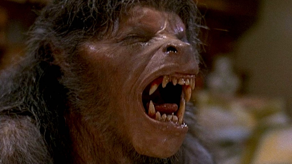 Werewolf by Night (TV Movie 2022) - Photo Gallery - IMDb