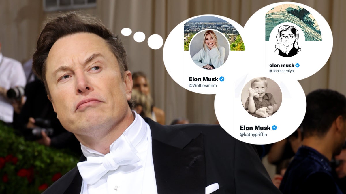 No, I Am Elon Musk: Verified Celebrities Take Twitter Owner's Name In ...