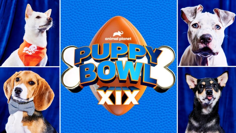 Puppy Bowl 2023 Lineup See the Dogs Playing in the Bowl