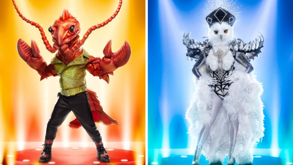 'The Masked Singer' Who Was Rock Lobster and Night Owl?
