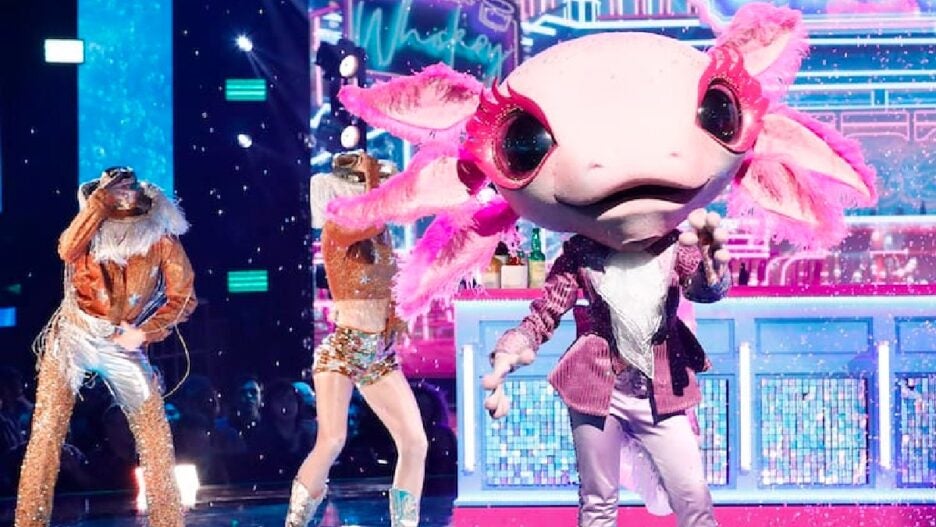 The Masked Singer: Axolotl Sneakily Got Advice From NSYNC Member