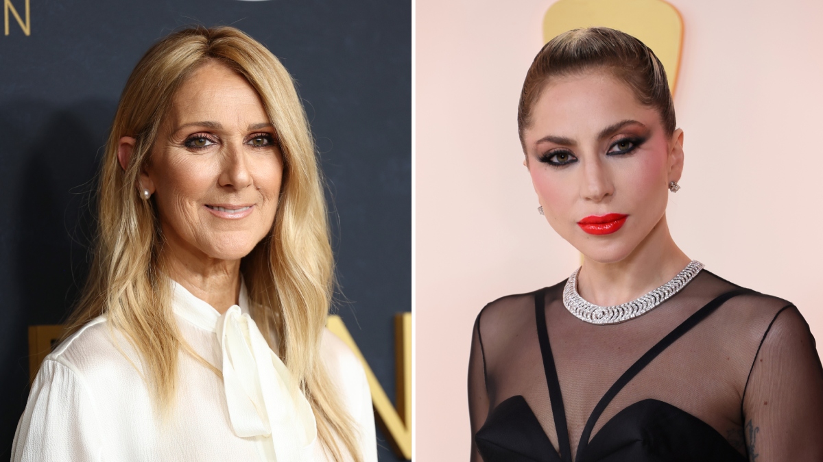 Was Céline Dion Snubbed By Taylor Swift In Grammys Return?