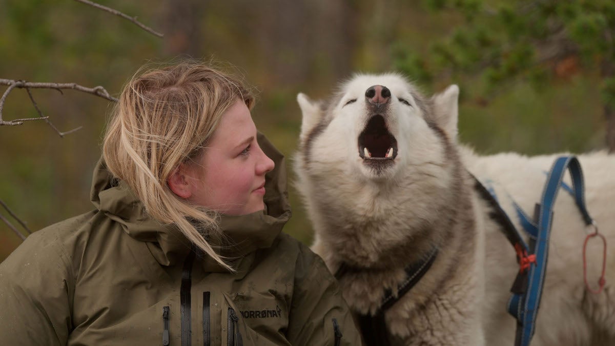 ‘Folktales’ Review: A Gap Year Looks Doggone Cold in Norwegian Documentary