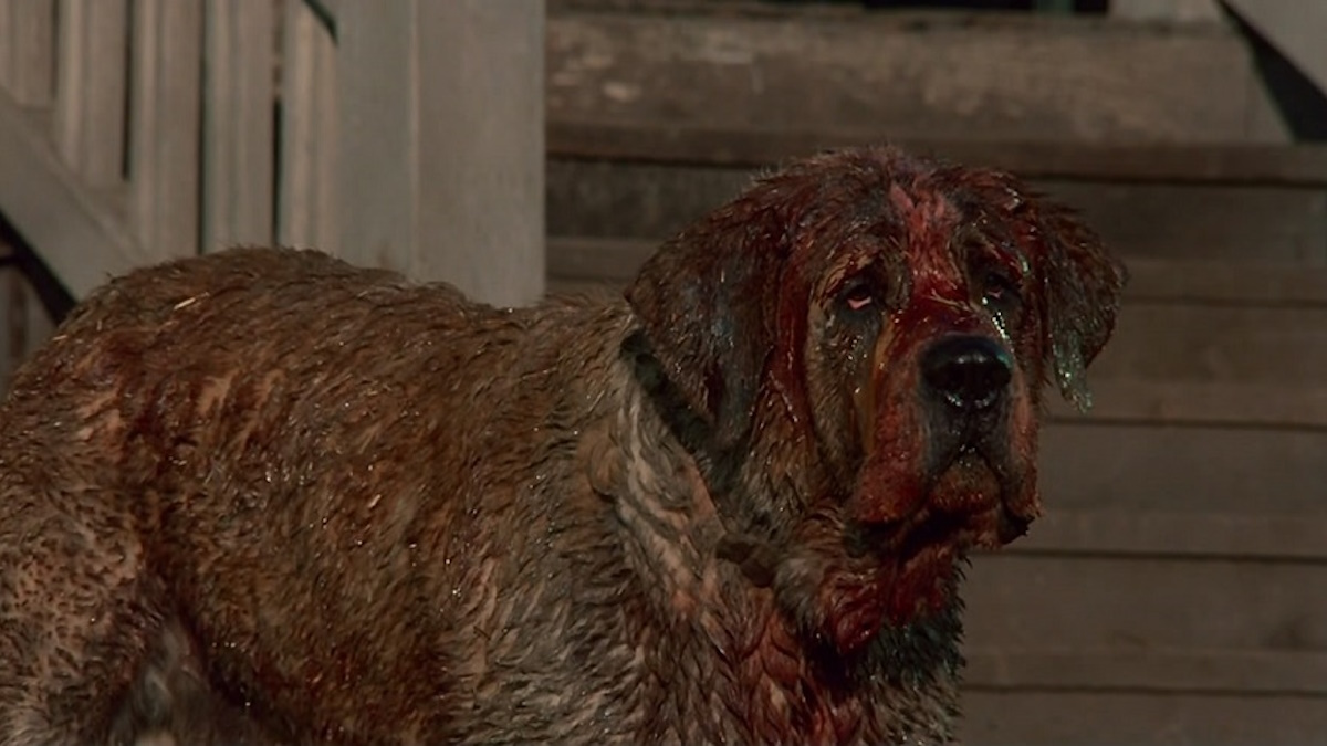 Stephen King’s ‘Cujo’ Remake in the Works at Netflix