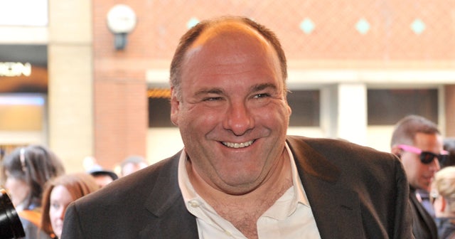 James Gandolfini Sopranos Star Dead At 51