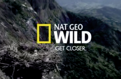 Нат гео вайлд про. Нат Гео Шанель. Nat geo Music. Nat geo Wild спуск под землю. Гео логотип.